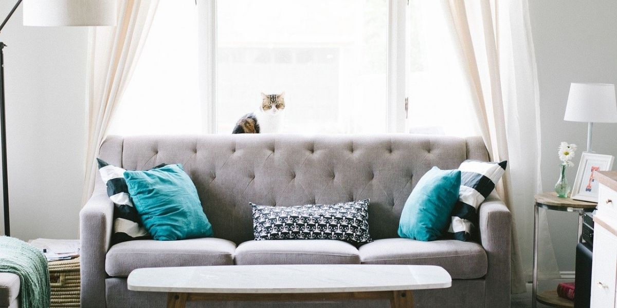 L'apporteur d'Immo, le home staging accélérateur de vente ?